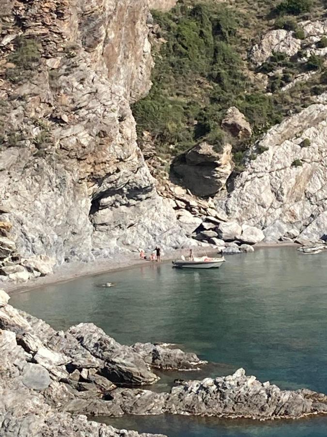 Mas De La Riviere Villa Villelongue-de-la-Salanque Eksteriør billede