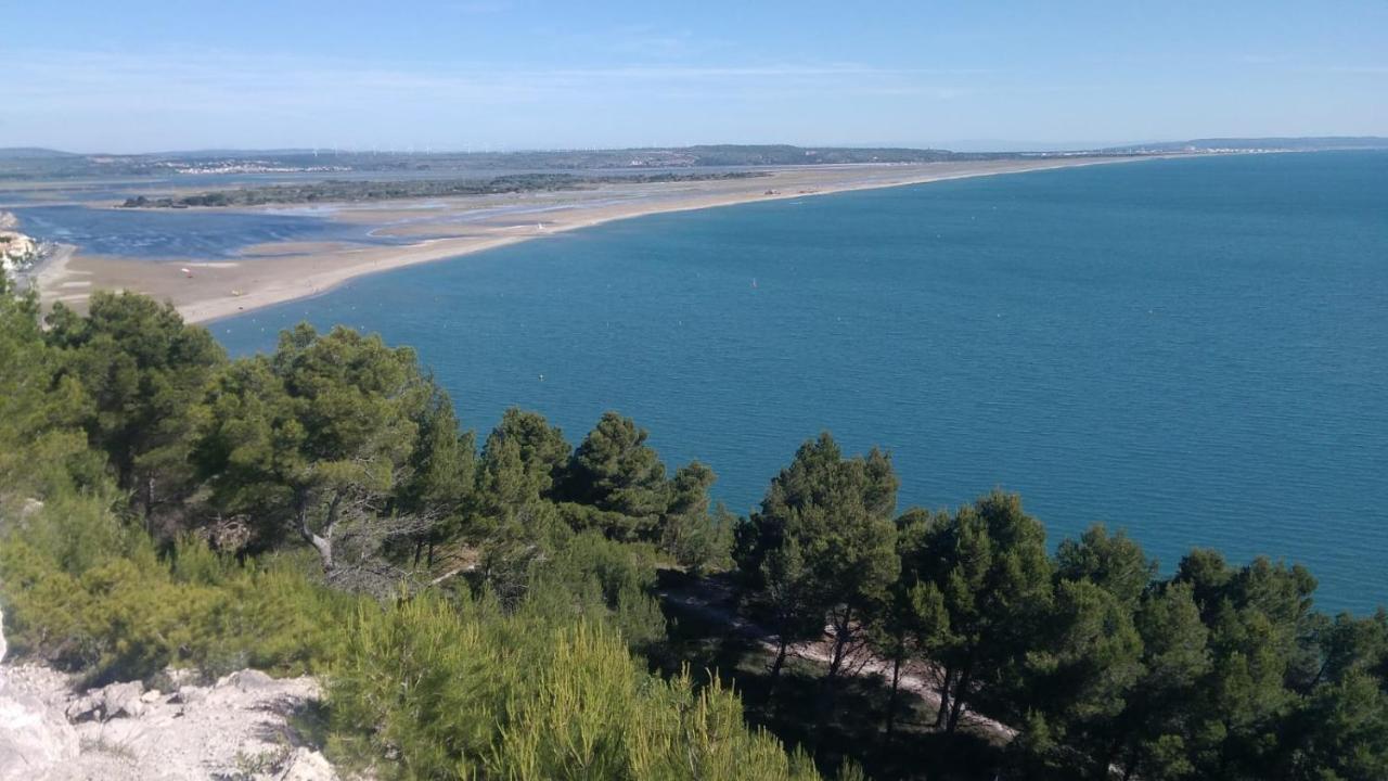Mas De La Riviere Villa Villelongue-de-la-Salanque Eksteriør billede